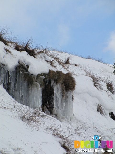 SX02507 Icicles in snow